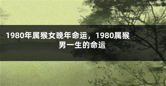1980年属猴女晚年命运，1980属猴男一生的命运