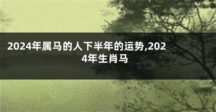 2024年属马的人下半年的运势,2024年生肖马