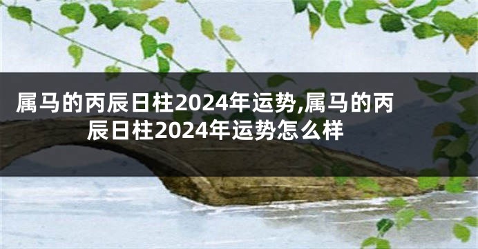 属马的丙辰日柱2024年运势,属马的丙辰日柱2024年运势怎么样