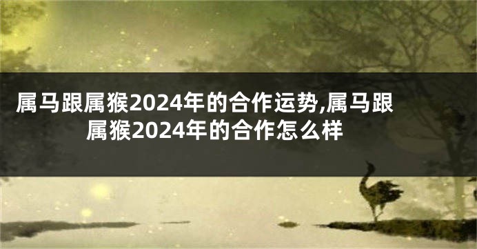 属马跟属猴2024年的合作运势,属马跟属猴2024年的合作怎么样