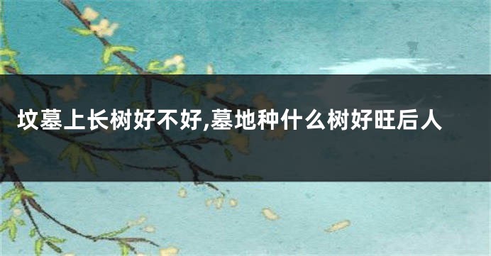 坟墓上长树好不好,墓地种什么树好旺后人