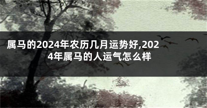 属马的2024年农历几月运势好,2024年属马的人运气怎么样