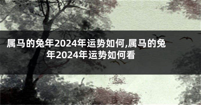 属马的兔年2024年运势如何,属马的兔年2024年运势如何看