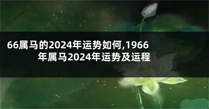 66属马的2024年运势如何,1966年属马2024年运势及运程