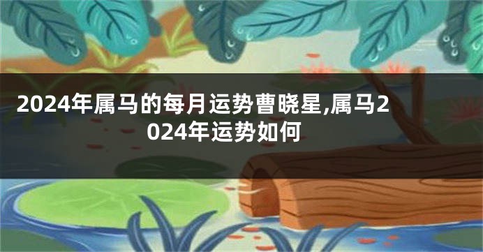 2024年属马的每月运势曹晓星,属马2024年运势如何