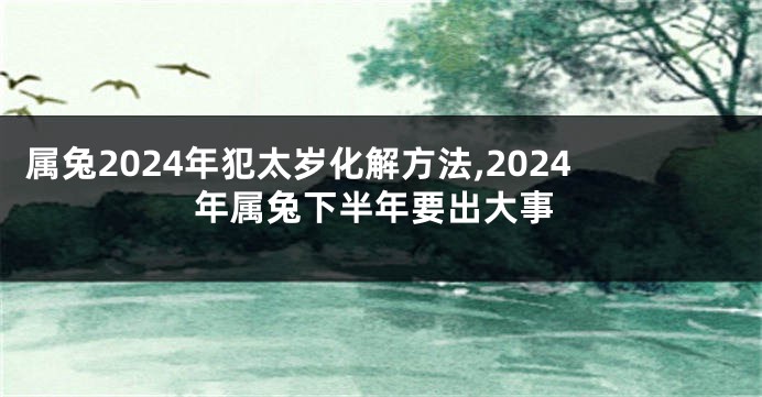 属兔2024年犯太岁化解方法,2024年属兔下半年要出大事