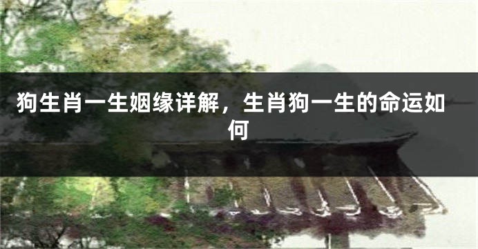 狗生肖一生姻缘详解，生肖狗一生的命运如何