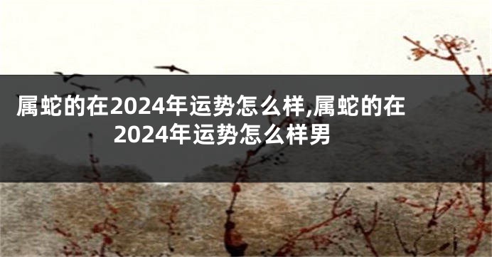 属蛇的在2024年运势怎么样,属蛇的在2024年运势怎么样男