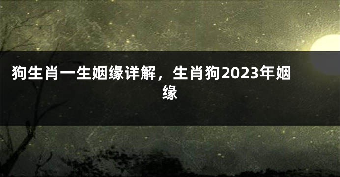 狗生肖一生姻缘详解，生肖狗2023年姻缘
