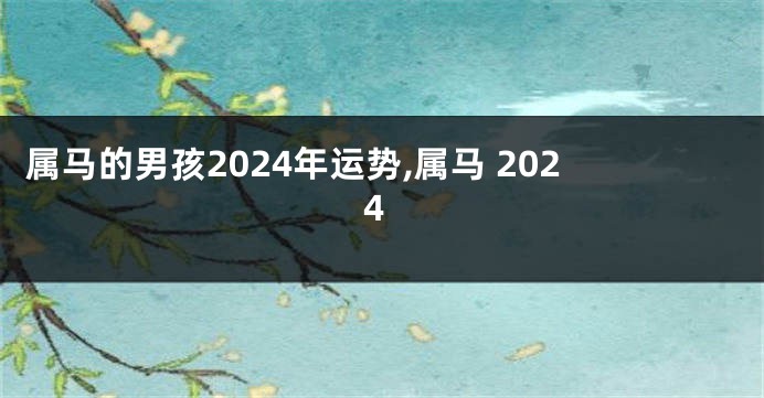 属马的男孩2024年运势,属马 2024