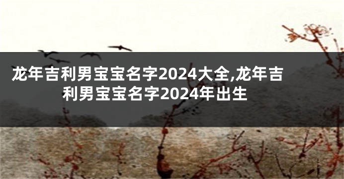 龙年吉利男宝宝名字2024大全,龙年吉利男宝宝名字2024年出生