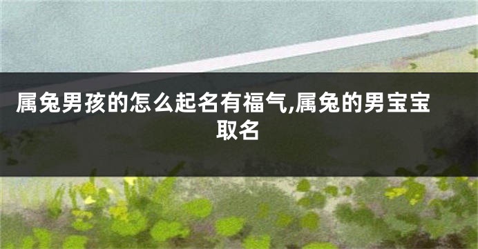属兔男孩的怎么起名有福气,属兔的男宝宝取名