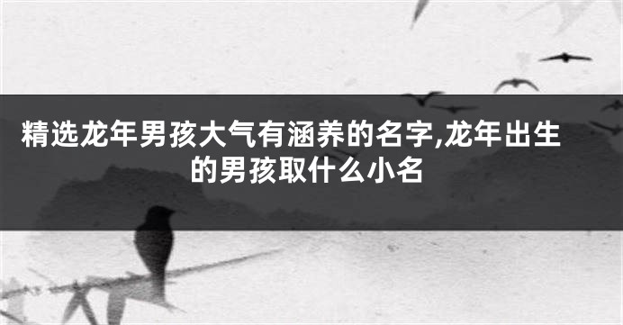 精选龙年男孩大气有涵养的名字,龙年出生的男孩取什么小名