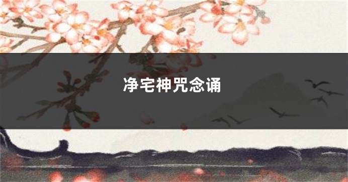 净宅神咒念诵