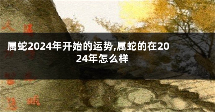 属蛇2024年开始的运势,属蛇的在2024年怎么样