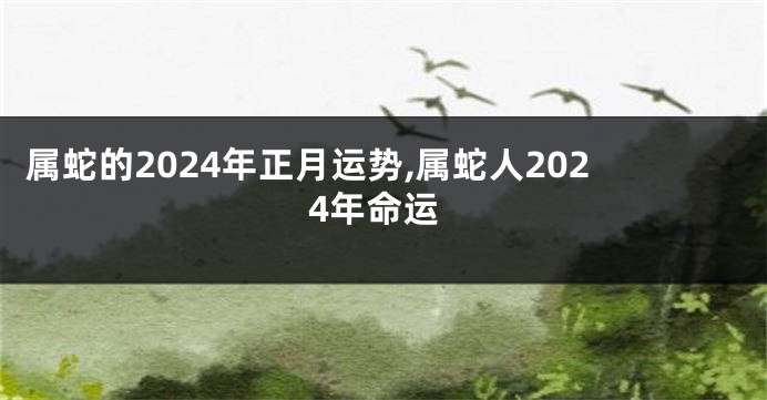 属蛇的2024年正月运势,属蛇人2024年命运
