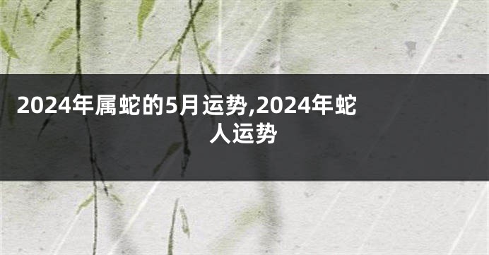 2024年属蛇的5月运势,2024年蛇人运势