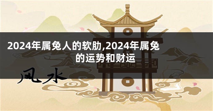 2024年属兔人的软肋,2024年属兔的运势和财运