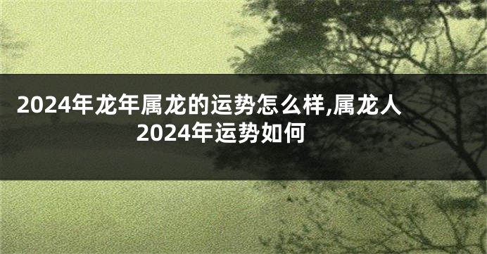 2024年龙年属龙的运势怎么样,属龙人2024年运势如何
