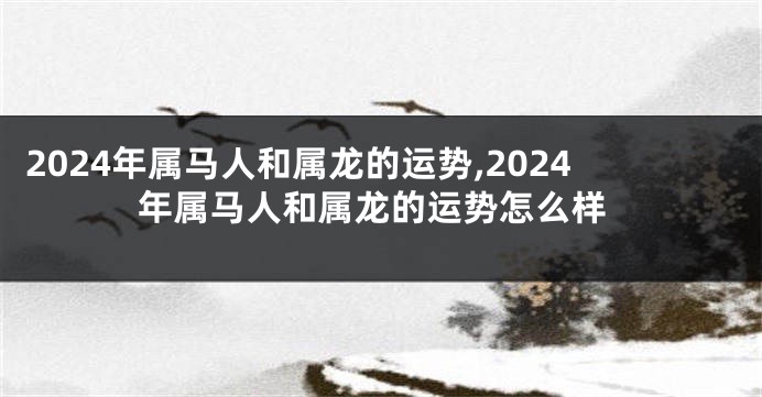 2024年属马人和属龙的运势,2024年属马人和属龙的运势怎么样