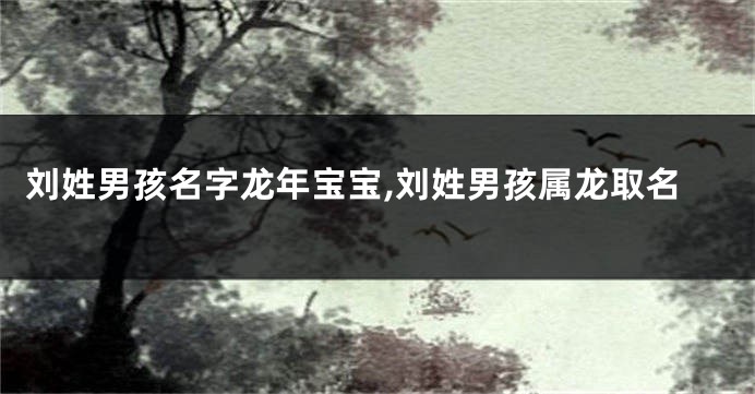 刘姓男孩名字龙年宝宝,刘姓男孩属龙取名