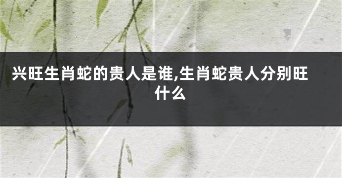 兴旺生肖蛇的贵人是谁,生肖蛇贵人分别旺什么