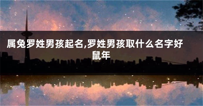 属兔罗姓男孩起名,罗姓男孩取什么名字好鼠年