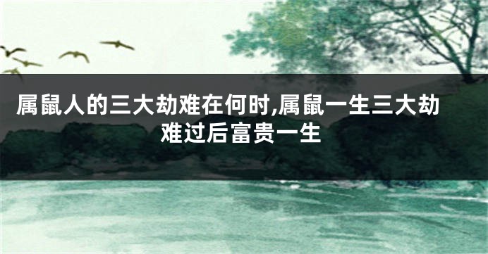 属鼠人的三大劫难在何时,属鼠一生三大劫难过后富贵一生