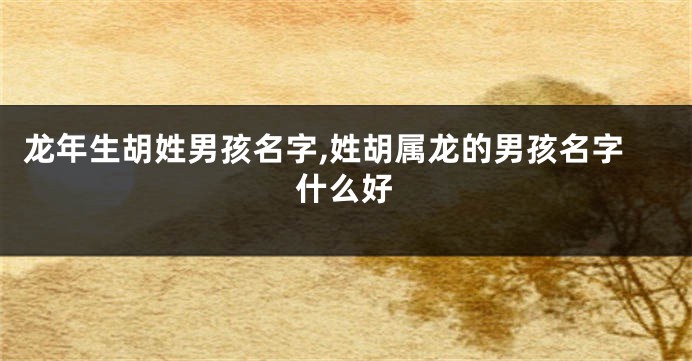 龙年生胡姓男孩名字,姓胡属龙的男孩名字什么好