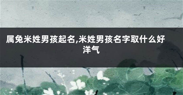 属兔米姓男孩起名,米姓男孩名字取什么好洋气