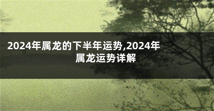 2024年属龙的下半年运势,2024年属龙运势详解