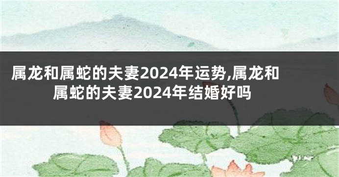 属龙和属蛇的夫妻2024年运势,属龙和属蛇的夫妻2024年结婚好吗
