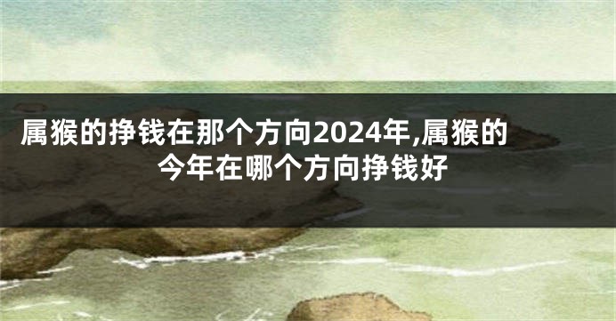 属猴的挣钱在那个方向2024年,属猴的今年在哪个方向挣钱好