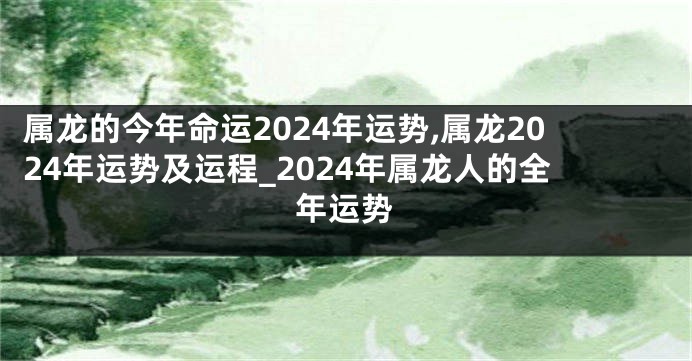 属龙的今年命运2024年运势,属龙2024年运势及运程_2024年属龙人的全年运势