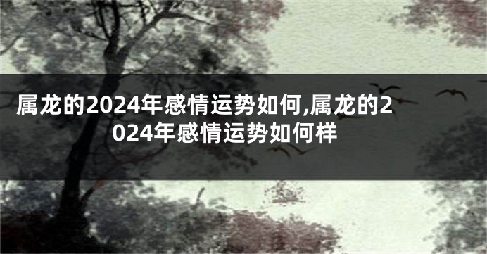 属龙的2024年感情运势如何,属龙的2024年感情运势如何样