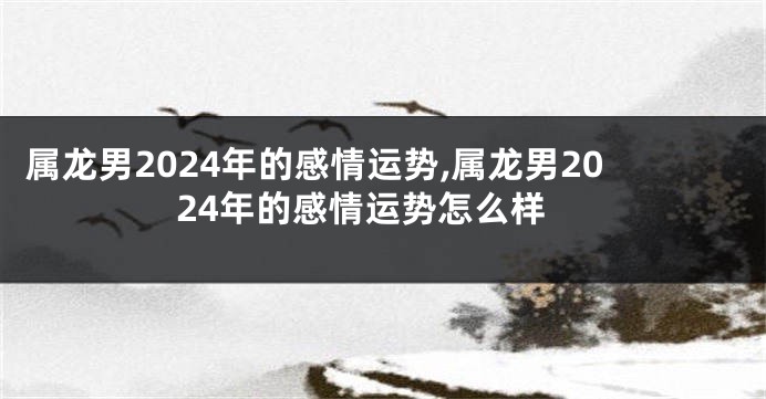 属龙男2024年的感情运势,属龙男2024年的感情运势怎么样