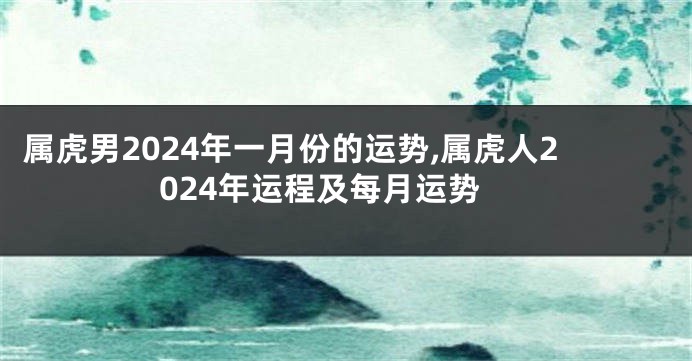 属虎男2024年一月份的运势,属虎人2024年运程及每月运势