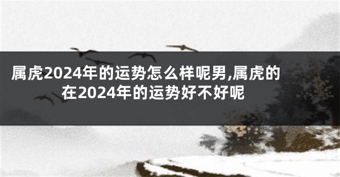 属虎2024年的运势怎么样呢男,属虎的在2024年的运势好不好呢