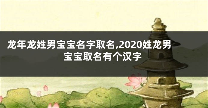 龙年龙姓男宝宝名字取名,2020姓龙男宝宝取名有个汉字