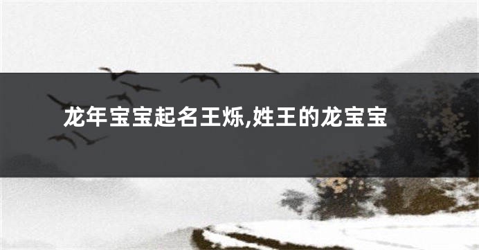 龙年宝宝起名王烁,姓王的龙宝宝