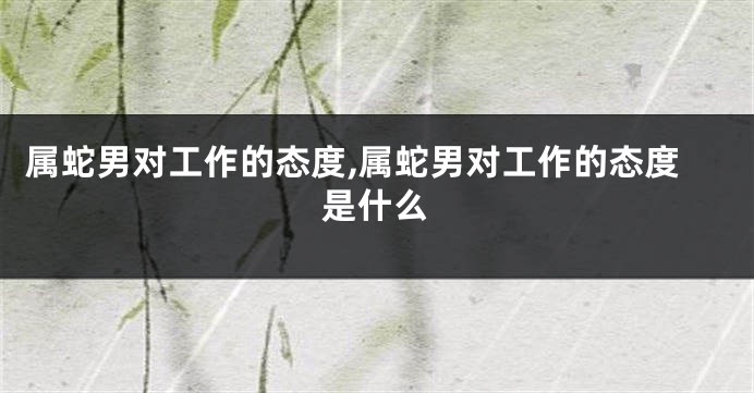 属蛇男对工作的态度,属蛇男对工作的态度是什么