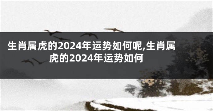 生肖属虎的2024年运势如何呢,生肖属虎的2024年运势如何