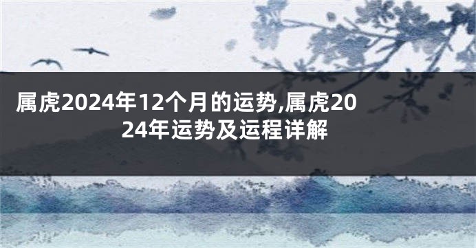 属虎2024年12个月的运势,属虎2024年运势及运程详解