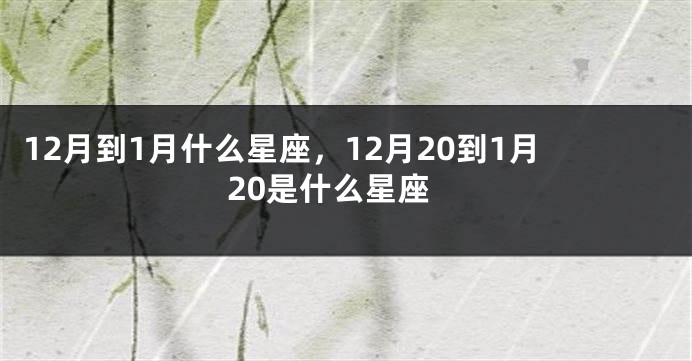 12月到1月什么星座，12月20到1月20是什么星座