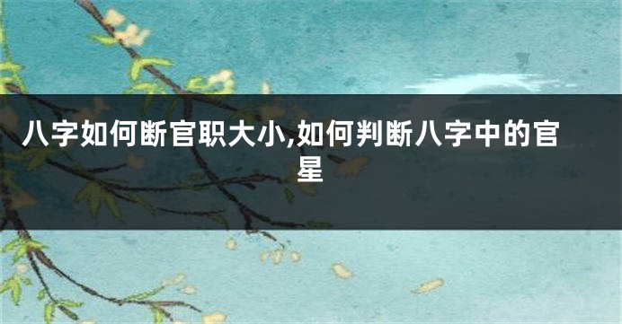 八字如何断官职大小,如何判断八字中的官星