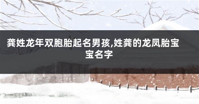 龚姓龙年双胞胎起名男孩,姓龚的龙凤胎宝宝名字