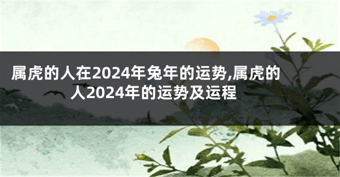 属虎的人在2024年兔年的运势,属虎的人2024年的运势及运程