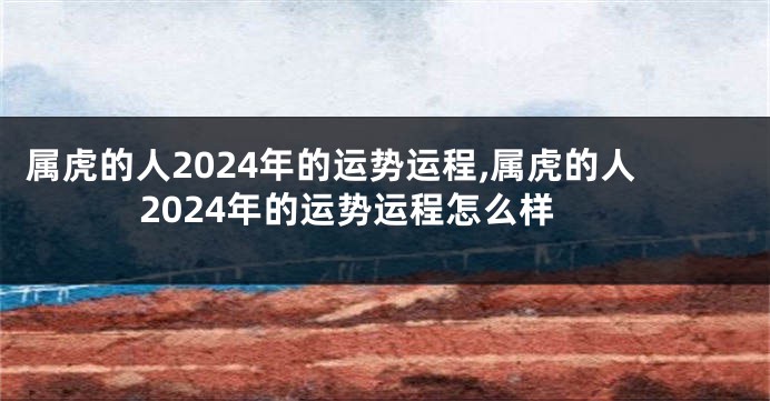 属虎的人2024年的运势运程,属虎的人2024年的运势运程怎么样