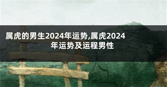 属虎的男生2024年运势,属虎2024年运势及运程男性