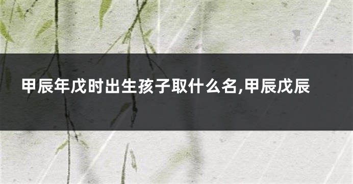 甲辰年戊时出生孩子取什么名,甲辰戊辰